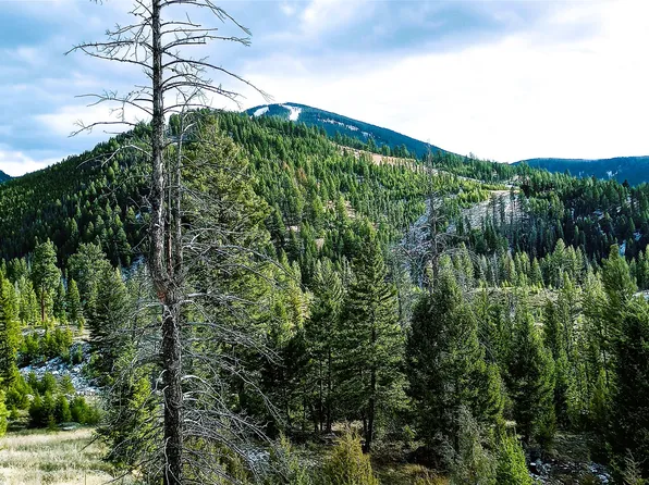 Summer Gulch Rd, Philipsburg, MT 59858