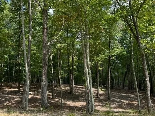 TRACT 11 Eagle Rock Rd, Monteagle, TN 37356