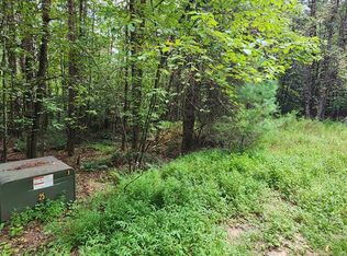 LOT 45 Old Mill Pond Rd, Mineral Bluff, GA 30559