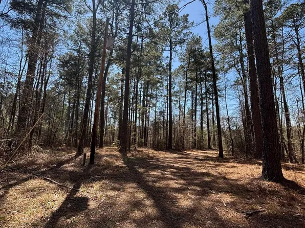 (undisclosed Address), Rison, AR 71665