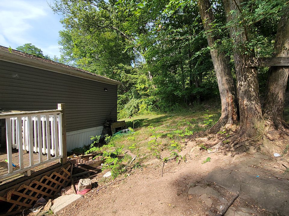Back deck and yard.