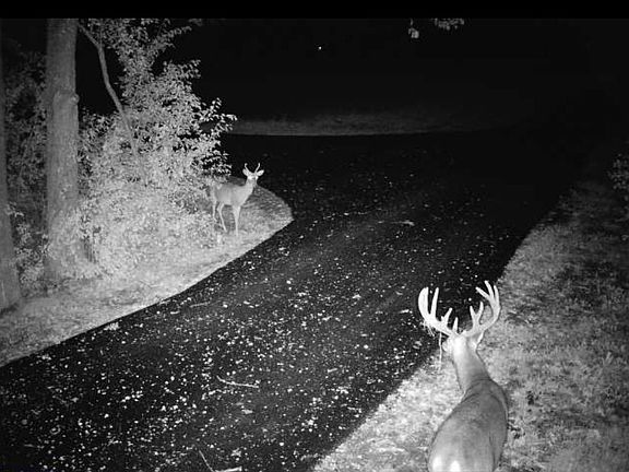 2nd image of 0000 Sand Lake Road