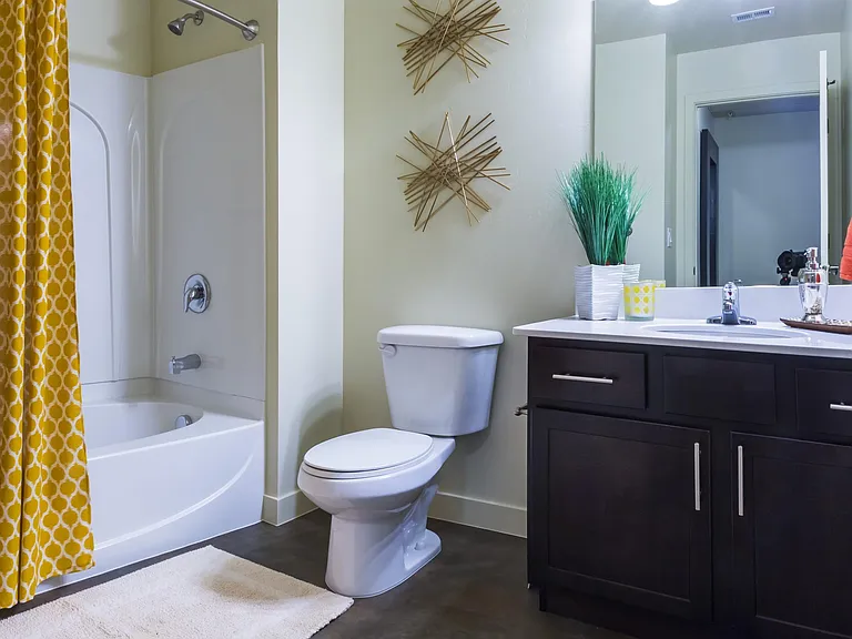 Freshen up in a large vanity mirror, sink into a soothing bubble bath, or enjoy an invigorating shower with our big bathrooms!
*Walk-in showers for studio apartments only*