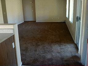 5th image of 781 E Wildhorse Dr
