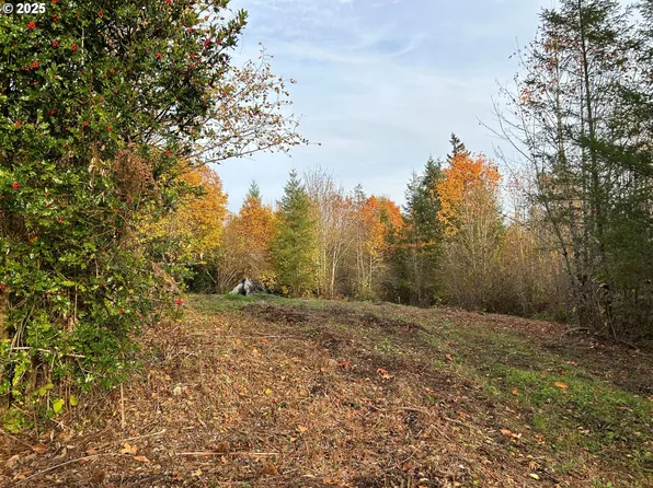 NE Fargher Dr #1, Yacolt, WA 98675
