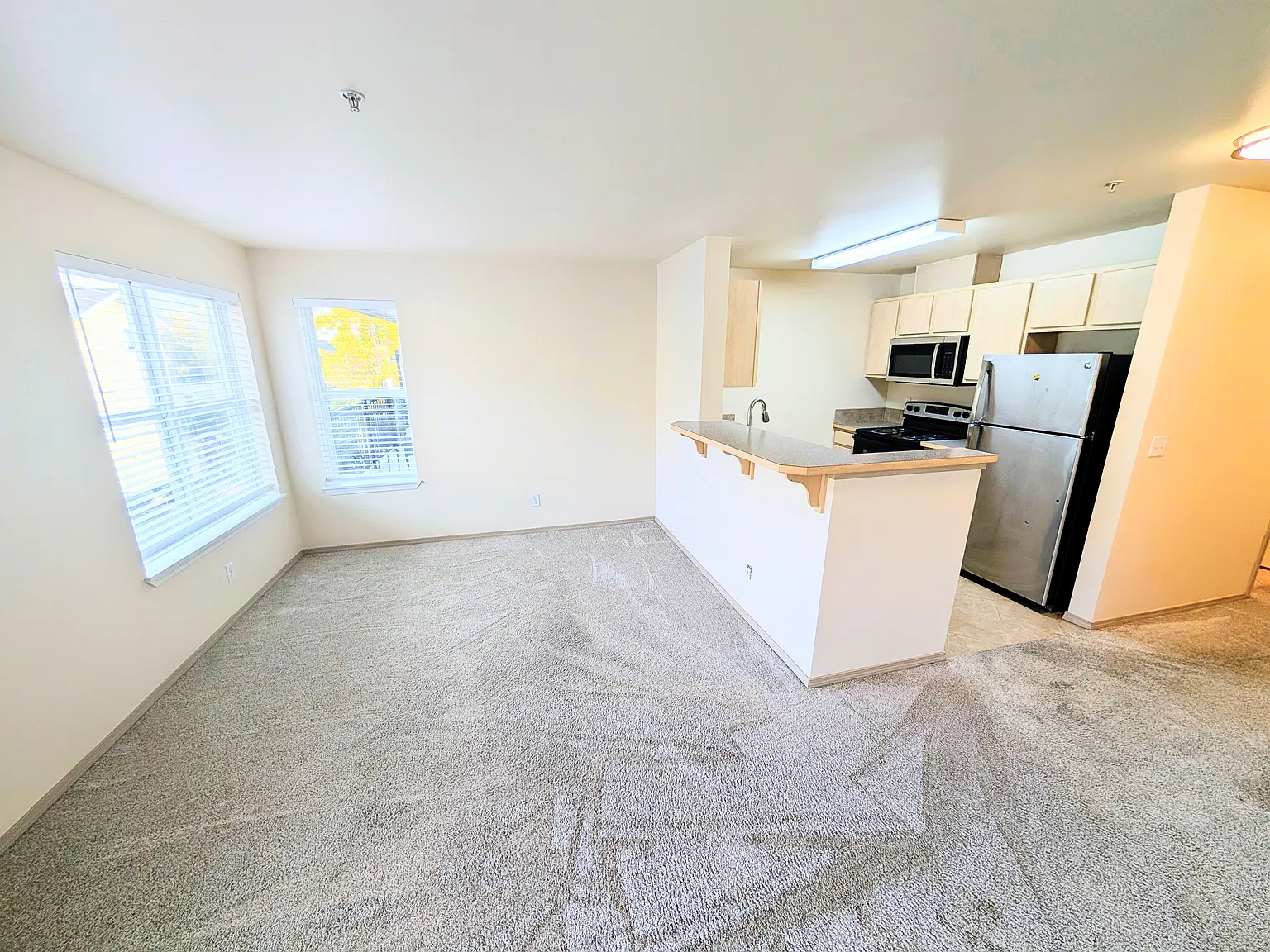 2 bed, 900 sqft, $3,000 — Photo 3