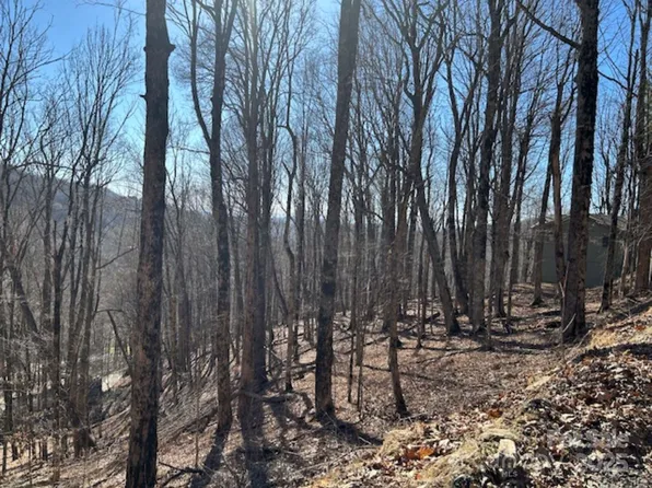 690 Oak Ridge Ln #690, Mars Hill, NC 28754