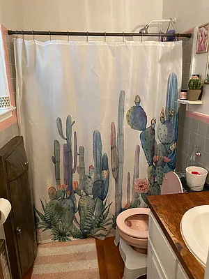 Rented by Amorelli Realty | media 7