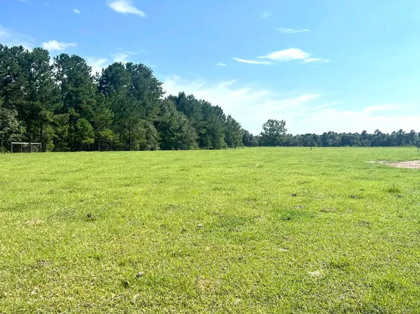 0 Claxton Lively Rd, Waynesboro, GA 30830