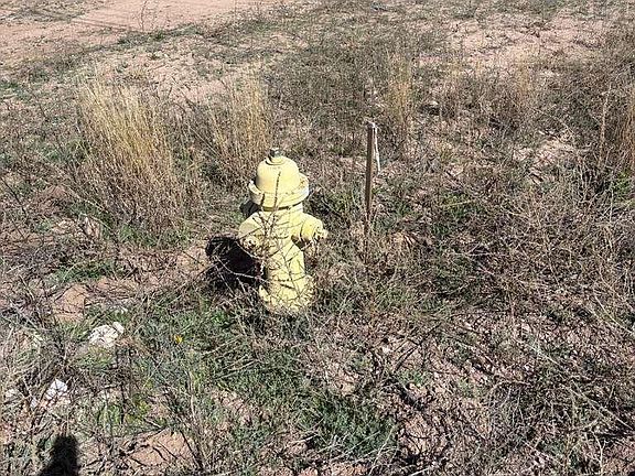 5th image of 1179 Circulo Mercado #56