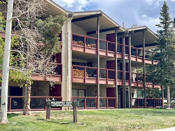 244 Lodgepole Street UNIT 15, Dillon, CO 80435