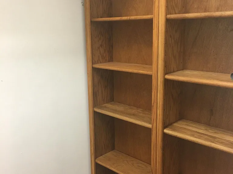 Shelves in walk-in closet in second bedroom