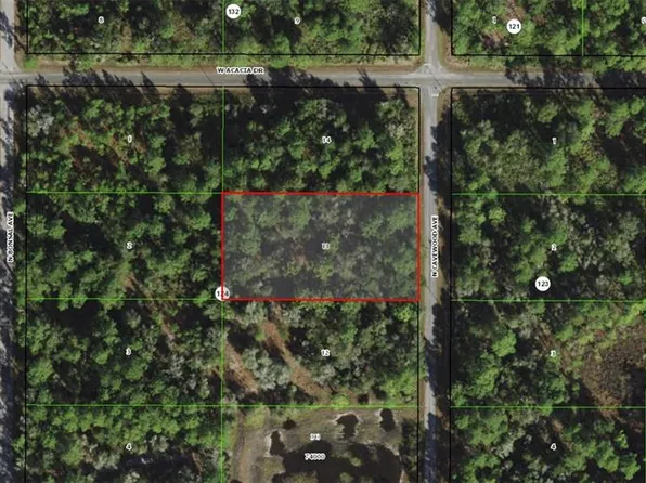 9382 N CAVEWOOD AVENUE LOT 13, CRYSTAL RIVER, FL 34428