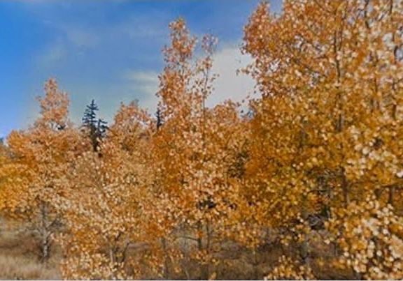 2nd image of 75 Antler Ridge Road LOT 81