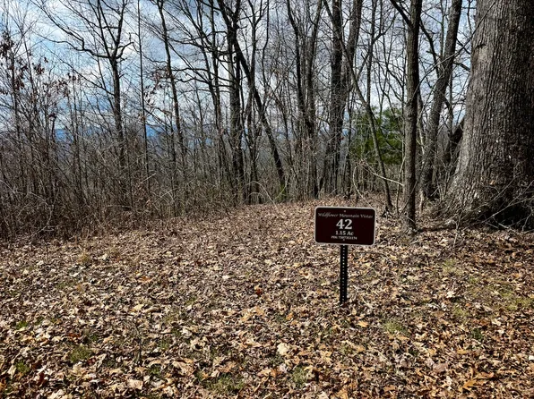 Lone Oak Rdg Lot Wp042, Franklin, NC 28734