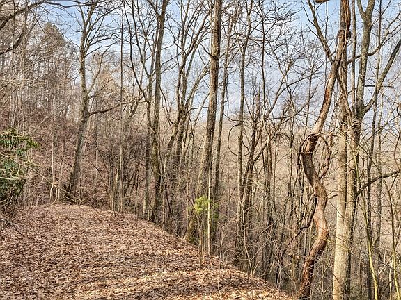 5th image of 9 Shagbark Hickory Rdg Lot 9B