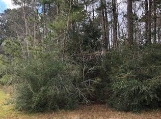 1310 Tallow Cir, Sour Lake, TX 77659