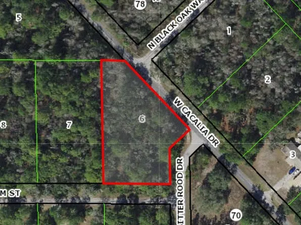 11653 W Caladium St, Crystal River, FL 34428