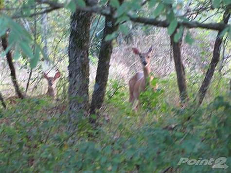 2nd image of 1 Hunter Ln
