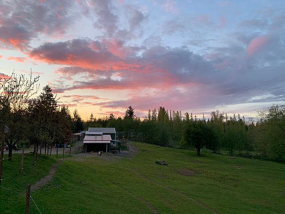 main pasture, facing NW