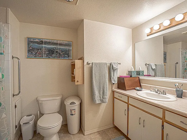 295 Tolman Creek Rd — Photo 10