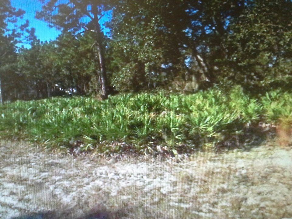 1st image of 1709 Clark Ave