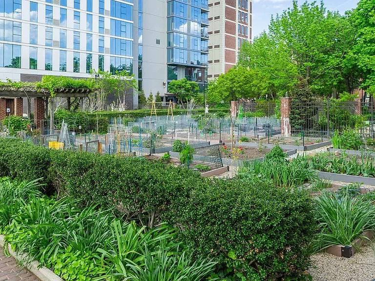 Nearby community urban garden
