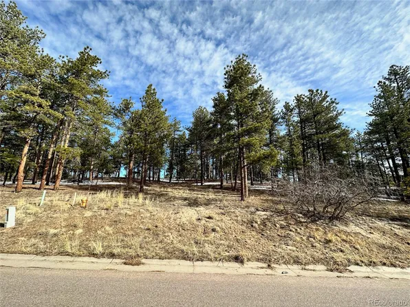 1315 Fremont Drive, Larkspur, CO 80118