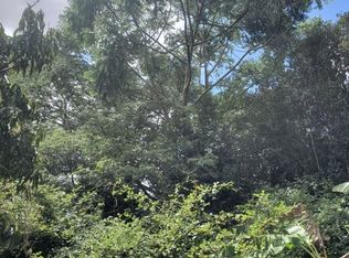 N Lauko Rd LOT 216, Mountain View, HI 96771