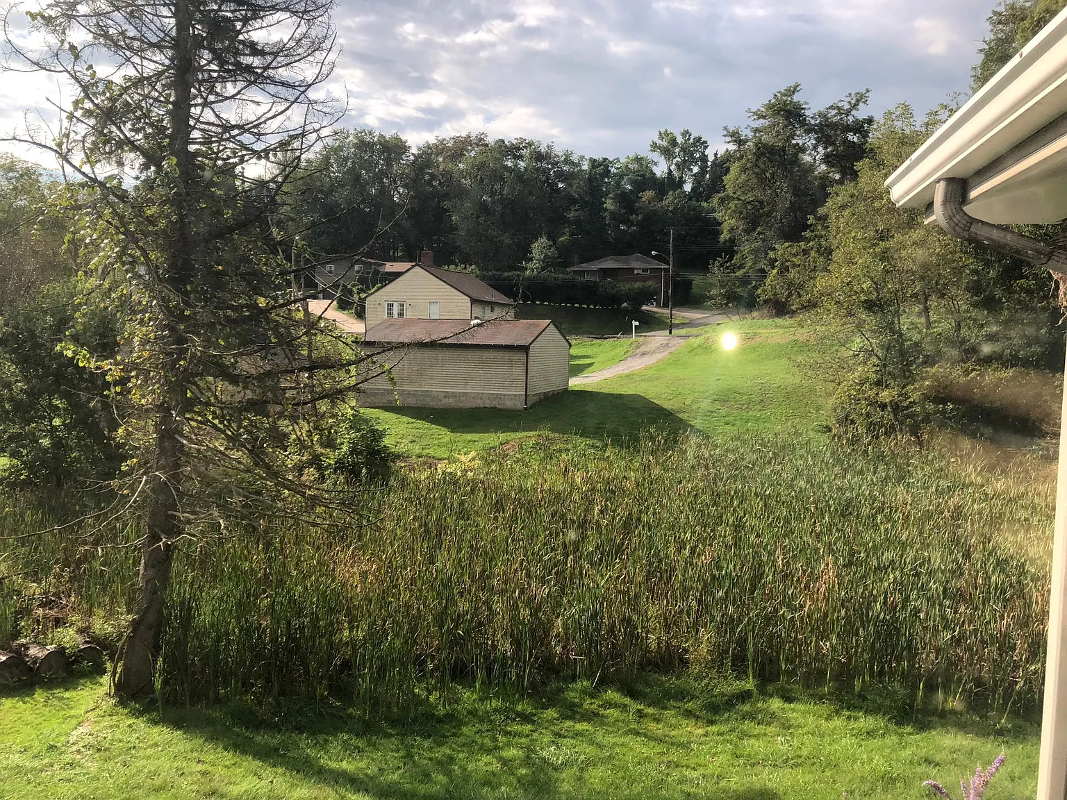 2 bed, 1.5 bath, $1,350 — Photo 4