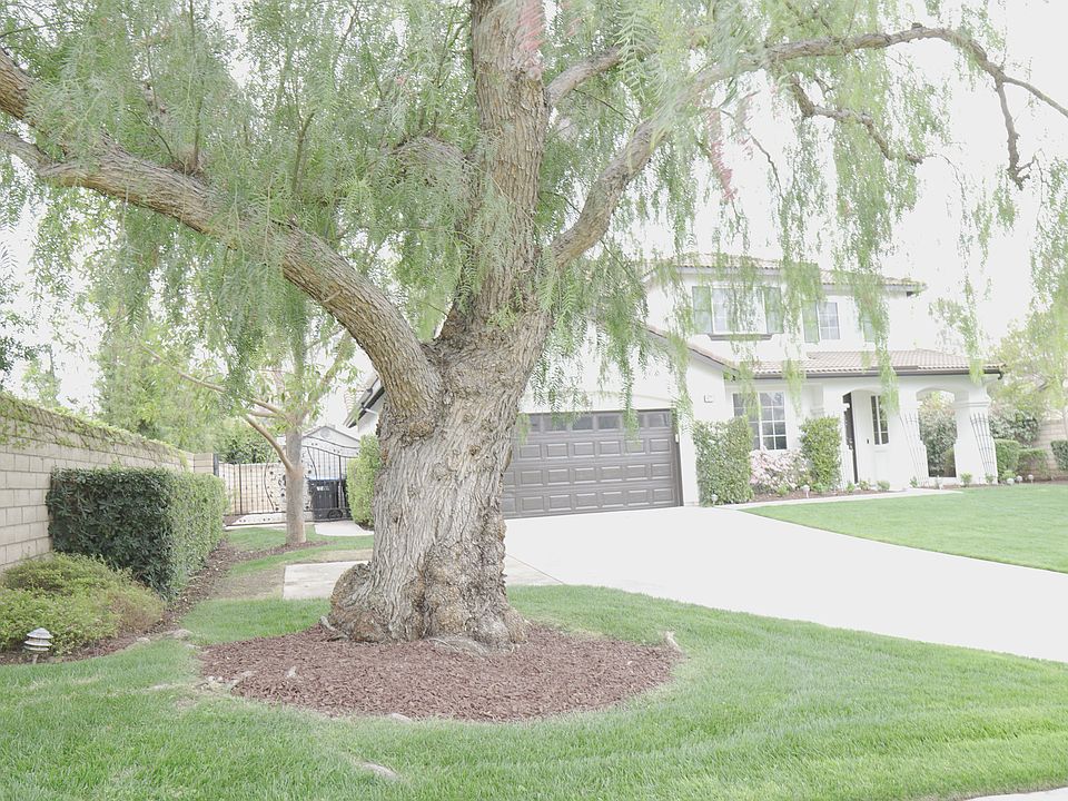 Front yard looking north