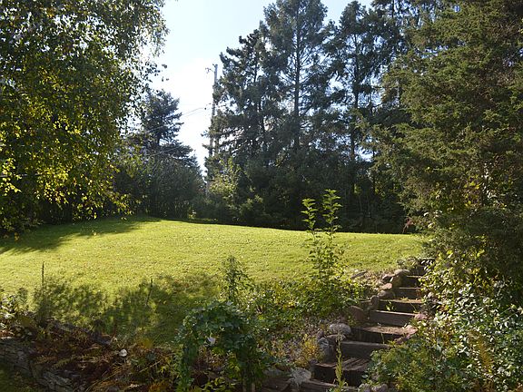View of Backyard