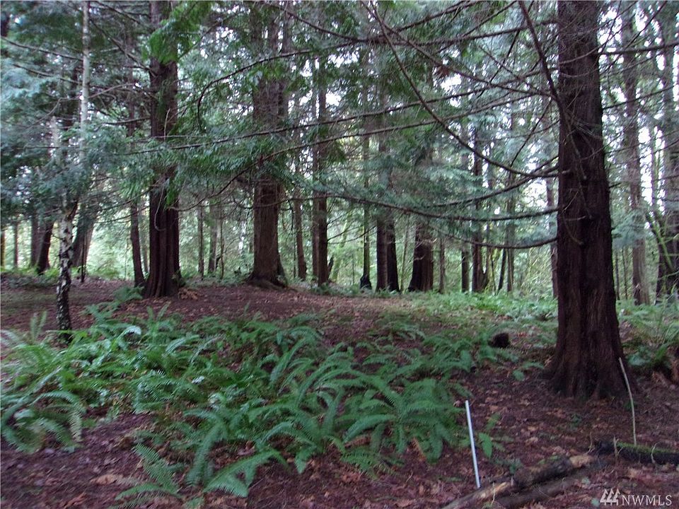 2nd image of 50 Elk Ct