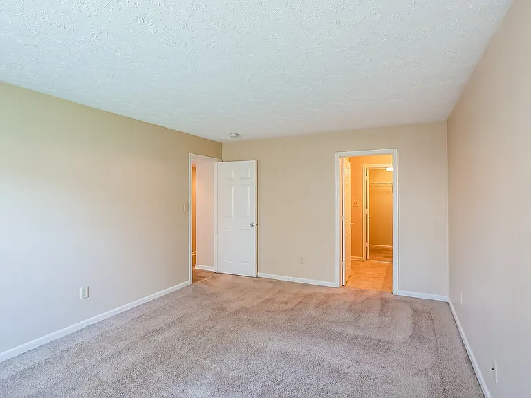 2962 Limber Pine Dr — Photo 9