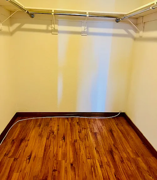 Master Bedroom walk-in closet
