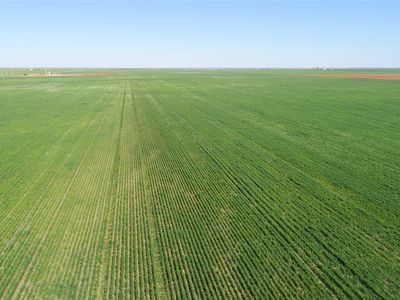 County Road 81 S, Vernon, TX, 76384