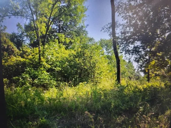 000 Tbd Rockledge Road, Merriam Woods, MO 65740