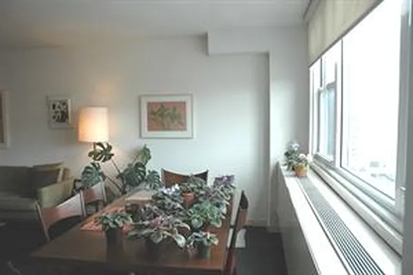 Sold by Douglas Elliman | media 4