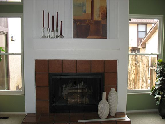 Wood-burning fireplace