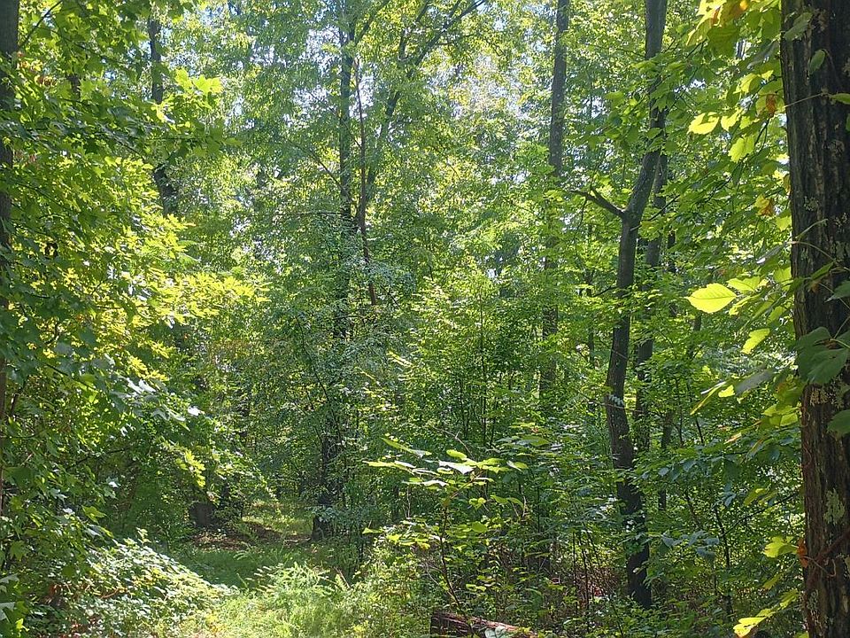 1st image of 0 Battery Hill Ln