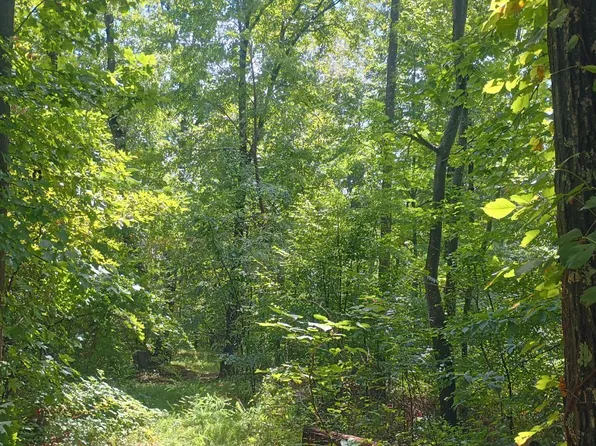 0 Battery Hill Ln, Tyro, VA 22976