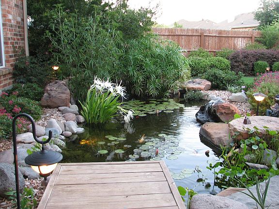 Koi Pond