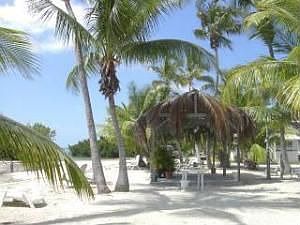 Tiki area
