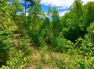 0 NW Berry Creek Rd, Indian Valley, VA 24105