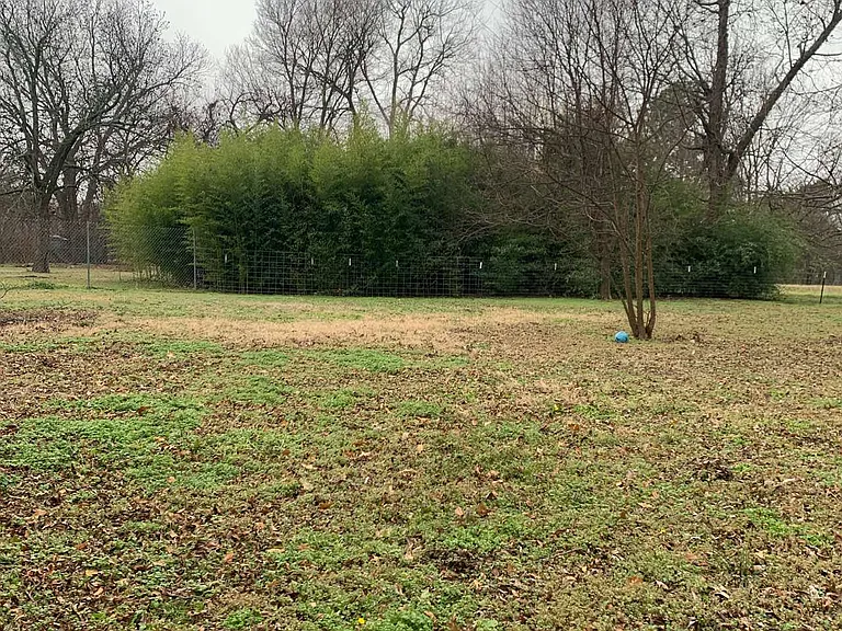 1005 Wolfe City Dr — Photo 18