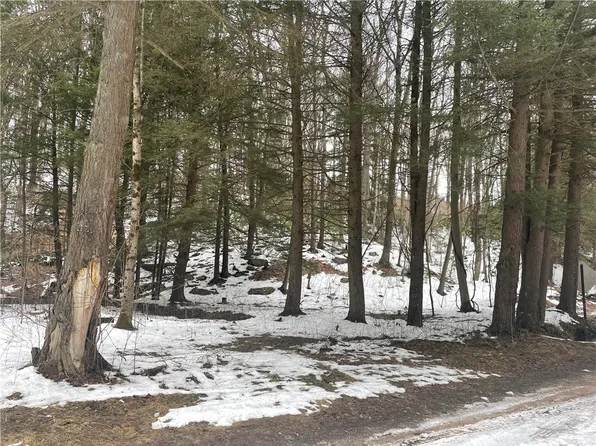 0 Sandy Run Rd, Rockwood, PA 15557