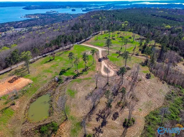 4 McCorkle Mountain Rd, Scottsboro, AL 35769