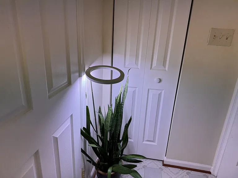 Bathroom 1 (shared by Bedroom 1 & Family Room) POV1