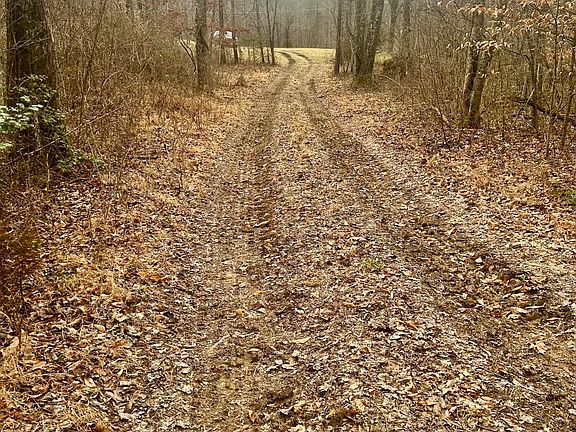 2nd image of River Rd