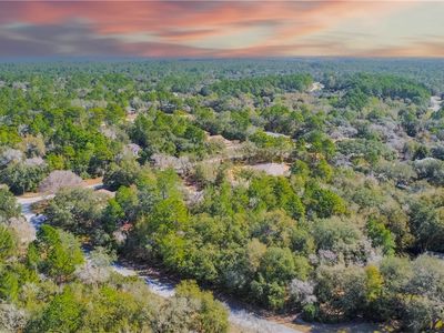 4845 N Goldwood Ter, Beverly Hills, FL, 34465